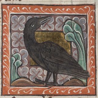 Crow